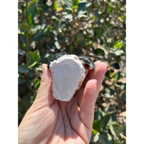 Sitting Skeleton with Bat Wings Statue 3.85" - Picture 4 of 5